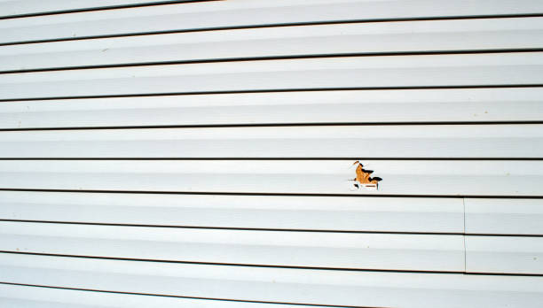 Best Weatherproofing and Sealing  in Midland City, AL