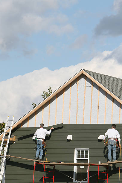 Best Custom Siding Design  in Midland City, AL