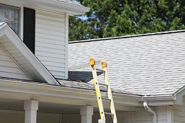 Best Aluminum Siding Installation  in Midland City, AL