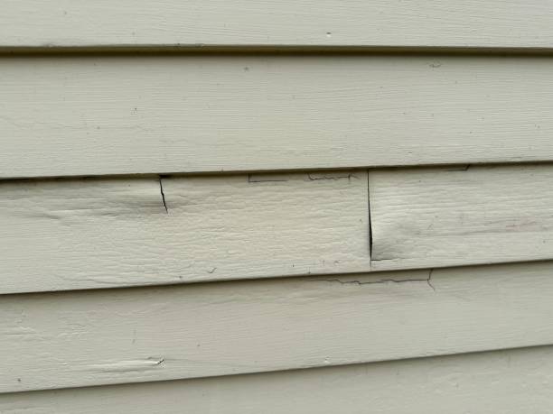  Midland City, AL Siding Installation Pros